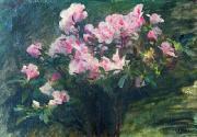 Charles-Amable Lenoir Study of Azaleas oil on canvas